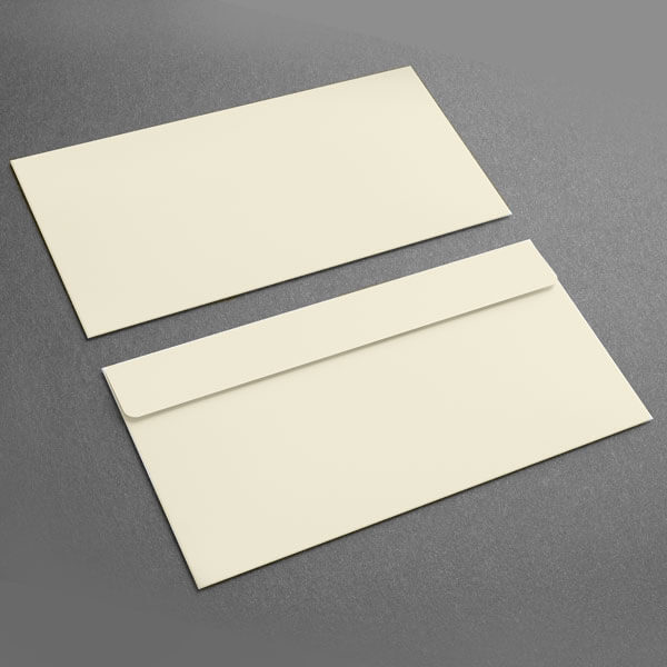Small Presentation Card Envelope, Soft White