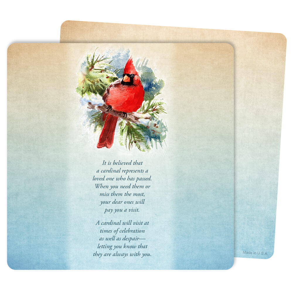 Cardinal in the Pines Mini-Album, The Visitor