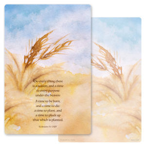 Wheat Painting Album, Ecclesiastes 3:1-2