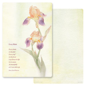 Dutch Iris Album, Every Blade