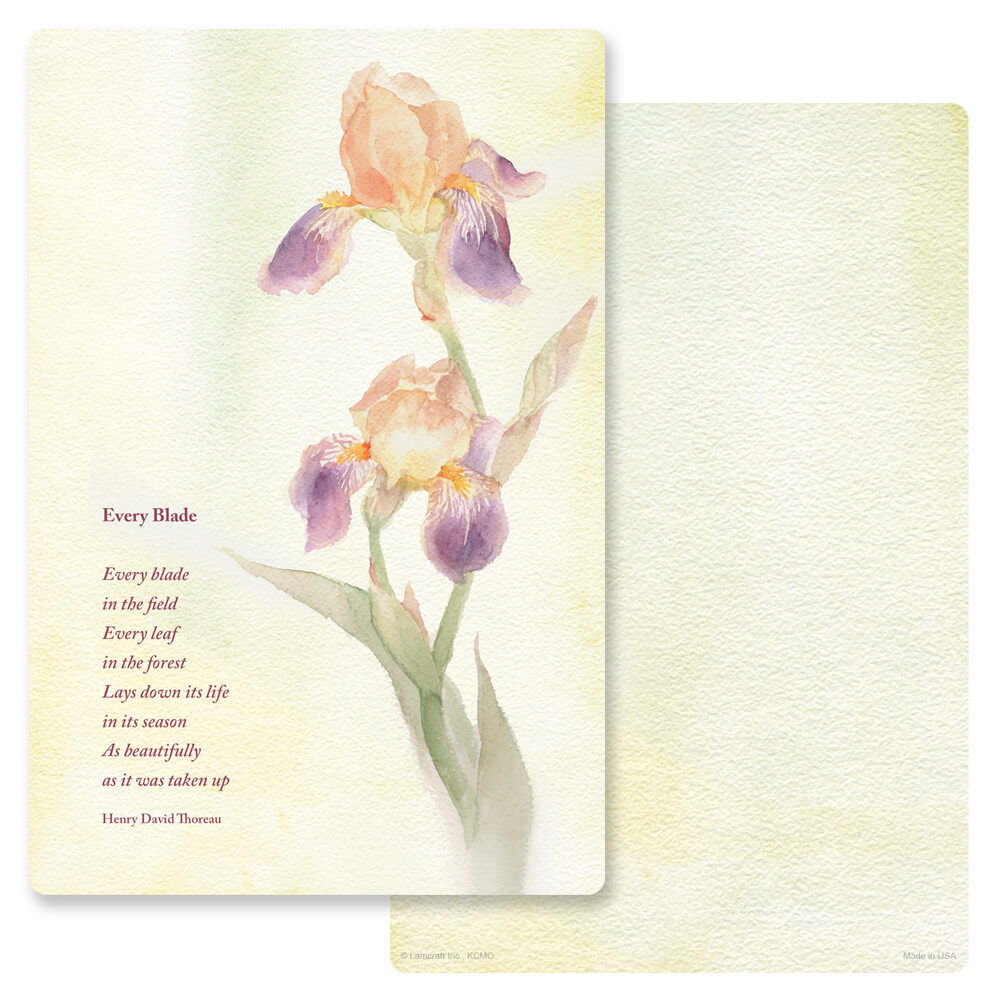 Dutch Iris Album, Every Blade