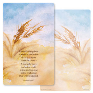 Wheat Painting Junior Album, Ecclesiastes 3:1-2