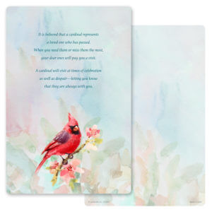 6" x 9" Spring Cardinal, The Visitor