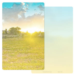 Summer Field Junior Album, No Verse
