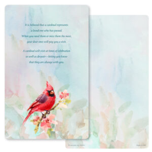 Spring Cardinal Junior Album, The Visitor