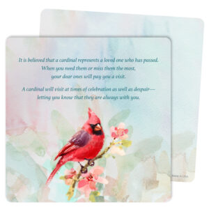 Spring Cardinal Mini-Album, The Visitor