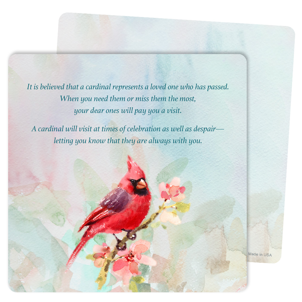 Spring Cardinal Mini-Album, The Visitor