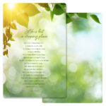 Sunlit Leaves PMC Album, Stopping Place