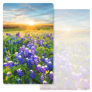 Bluebonnets Jr. Album, No Verse