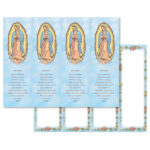 Lady of Guadalupe Micro-Perf, Ave Maria