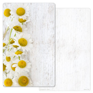 Daisies Junior Album PMC, No Verse