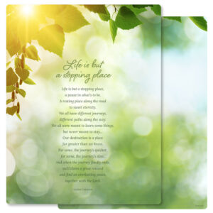 Sunlit Leaves Letter-Size PMC, Stopping Place