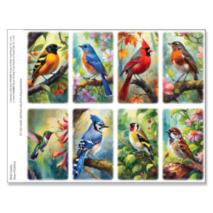Bird Combo 8-up Micro-Perf Prayer Cards