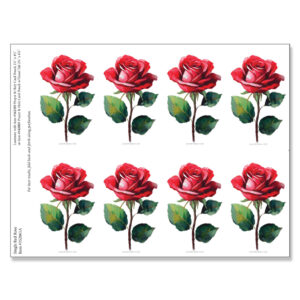 Single Red Rose 8-up Micro-Perf Prayer Cards