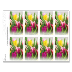 Tulips 8-up Micro-Perf Prayer Cards