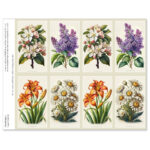 Floral Prints 2 8-up Micro-Perf Prayer Cards