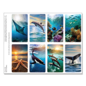 Ocean Life 8-up Micro-Perf Prayer Cards