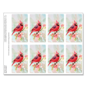 Spring Cardinal 8-up Micro-Perf Prayer Cards
