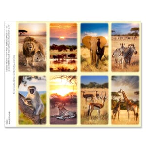 Safari 8-up Micro-Perforated Prayer Cards