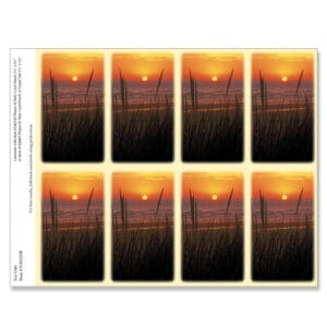 Sea Oats 8-up Micro-Perforated Prayer Cards