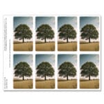 Tree of Life in Field 8-up Micro-Perforated Prayer Cards