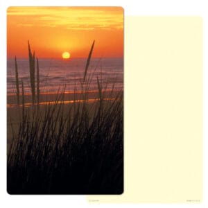 Sea Oats Junior Album PMC, No Verse