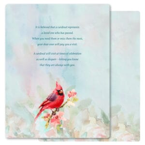 Spring Cardinal Letter-Size PMC, The Visitor