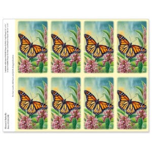 Monarch Butterfly 8-up Micro-Perf Prayer Cards