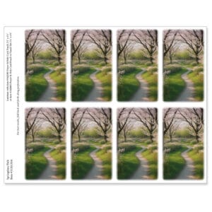 Springtime Path 8-up Micro-Perf Prayer Cards