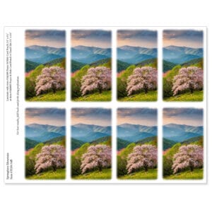 Springtime Mountain 8-up Micro-Perf Prayer Cards