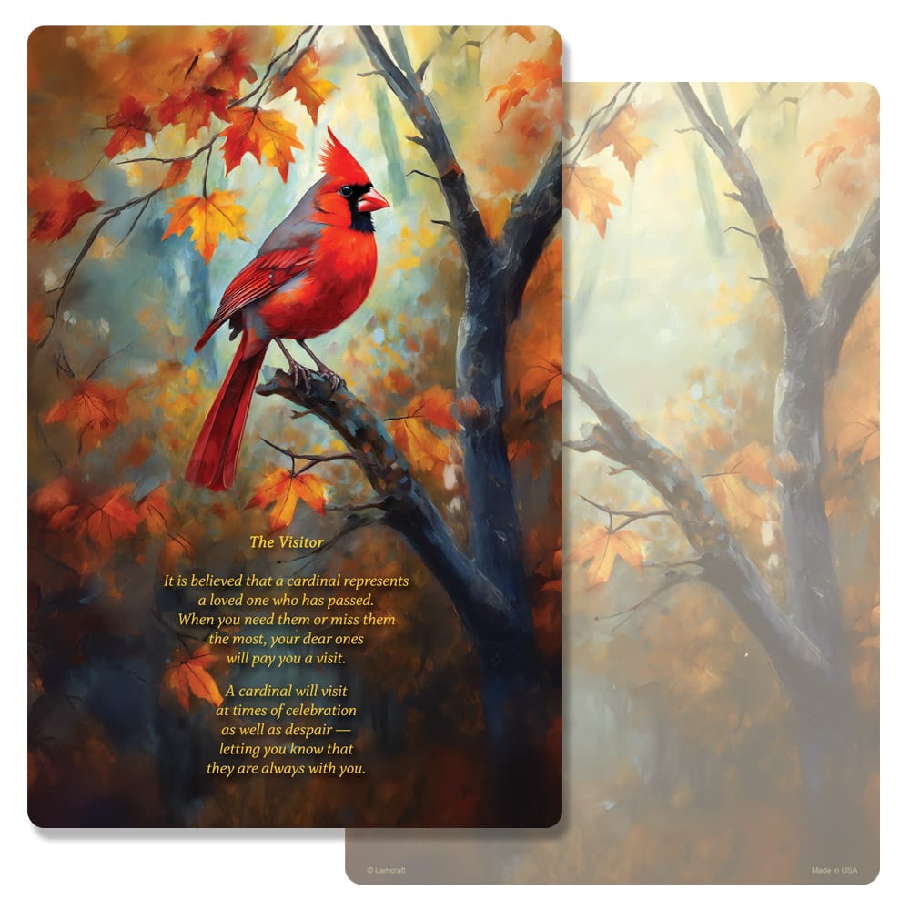 Fall Cardinal PMC Album, The Visitor
