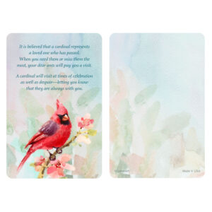 Spring Cardinal Pocket PMC, The Visitor