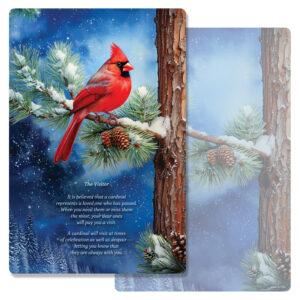 Winter Cardinal Album PMC, The Visitor