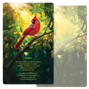 Summer Cardinal Junior Album PMC, The Visitor