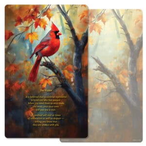 Fall Cardinal Junior Album PMC, The Visitor