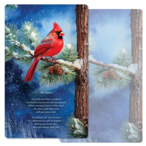 Winter Cardinal Junior Album PMC, The Visitor