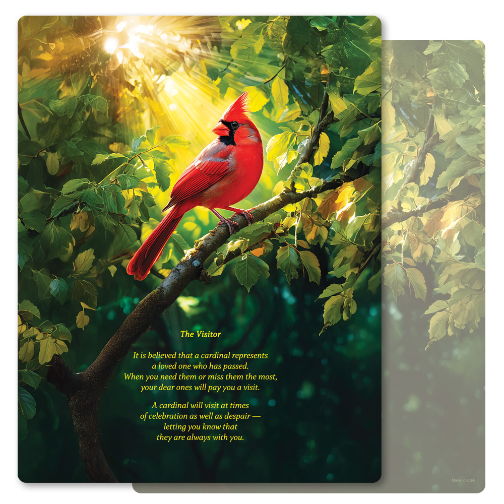 Summer Cardinal Letter-size PMC, The Visitor