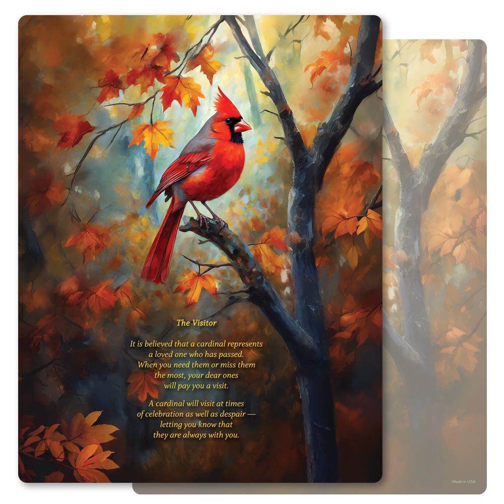 Fall Cardinal Letter-size PMC, The Visitor