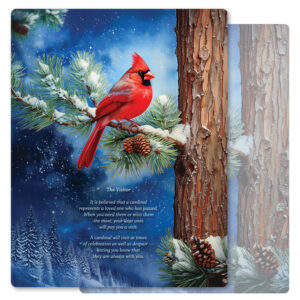 Winter Cardinal Letter-size PMC, The Visitor