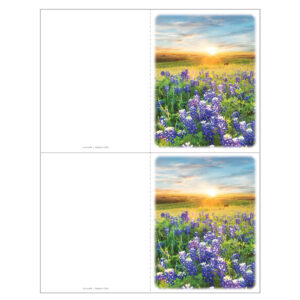Bluebonnets 2-up Memorial Folder