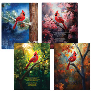 Cardinal Letter-size Variety Pack, The Visitor