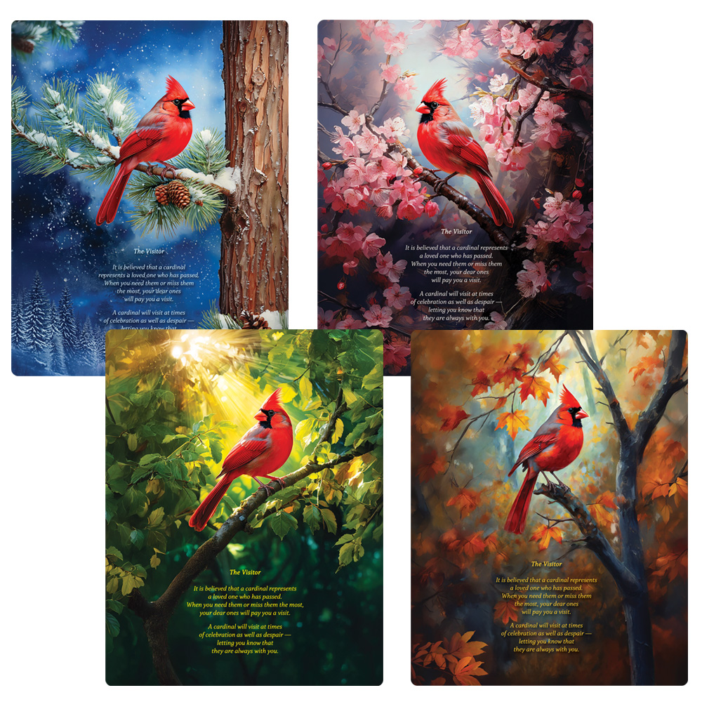 Cardinal Letter-size Variety Pack, The Visitor